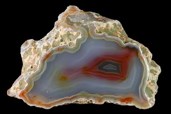 Colorful, Polished Condor Agate Section - Argentina #145520